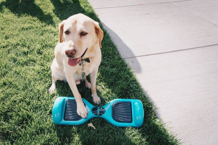 thumb_20230427104306_737