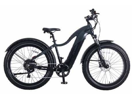 DENAGO FAT TIRE TOP TUBE EBIKE
